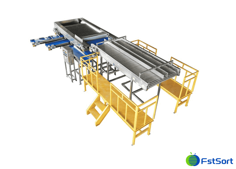 images/1748938925342lychee sorting machine.png